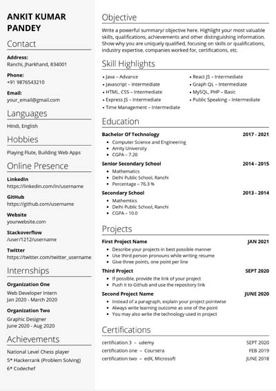 Resume Template 0