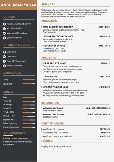 Resume Template 3