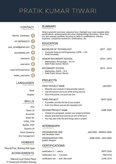 Resume Template 7